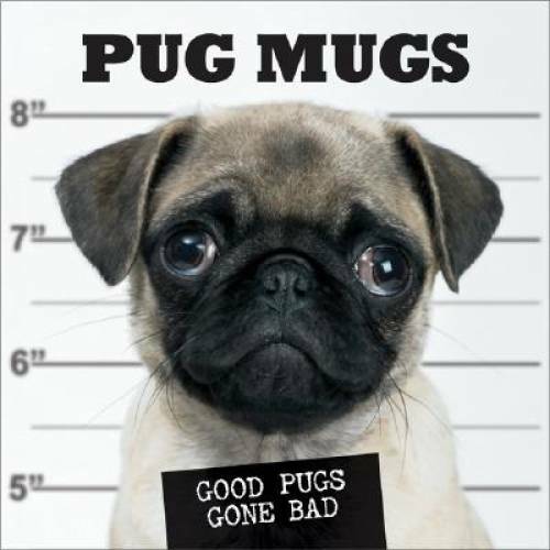 Pug mugs good - good, bad