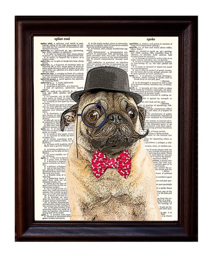 Sir pug mustachio - sir, dictionary