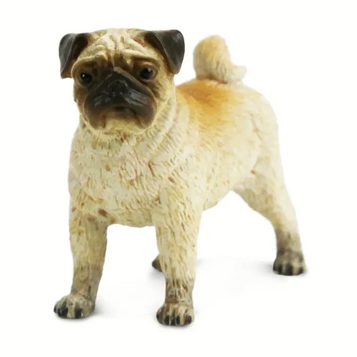Pug miniature animal dog - miniature,